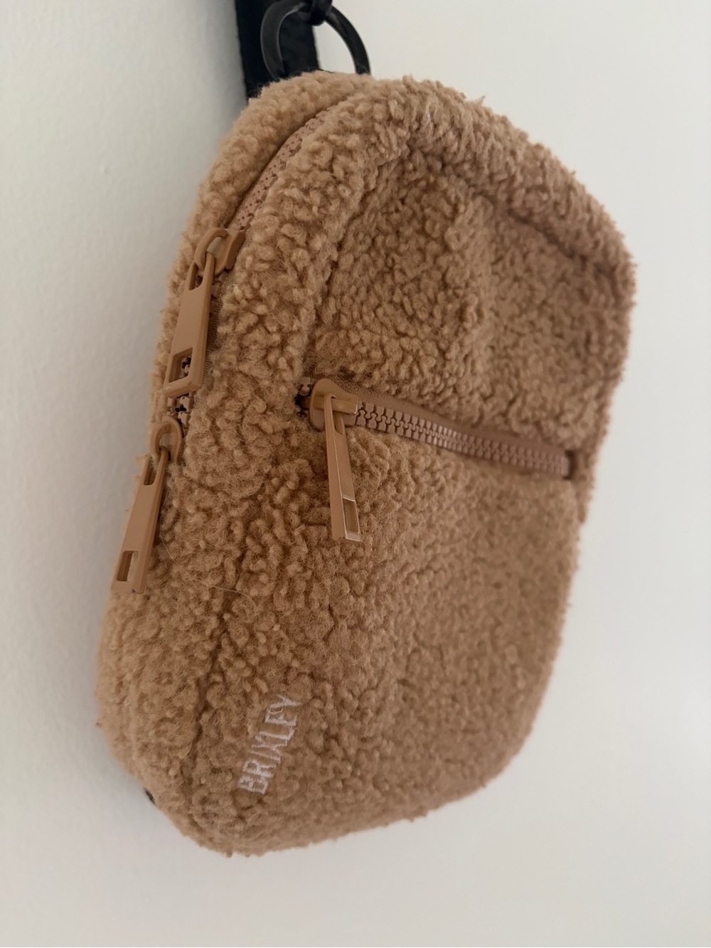Teddy Sherpa Brixley Crossbody Bag